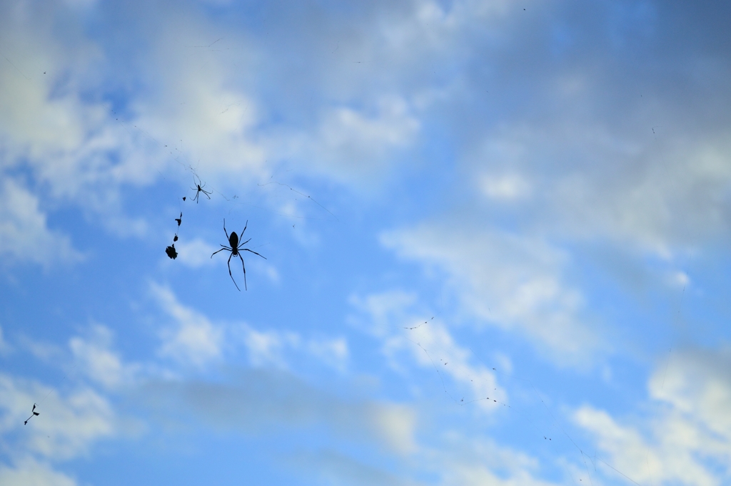 秋の空
