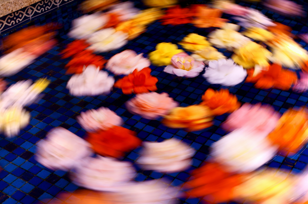 flower circulator 