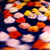 flower circulator 