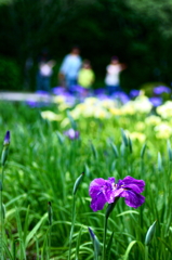 a family with a flower