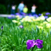 a family with a flower