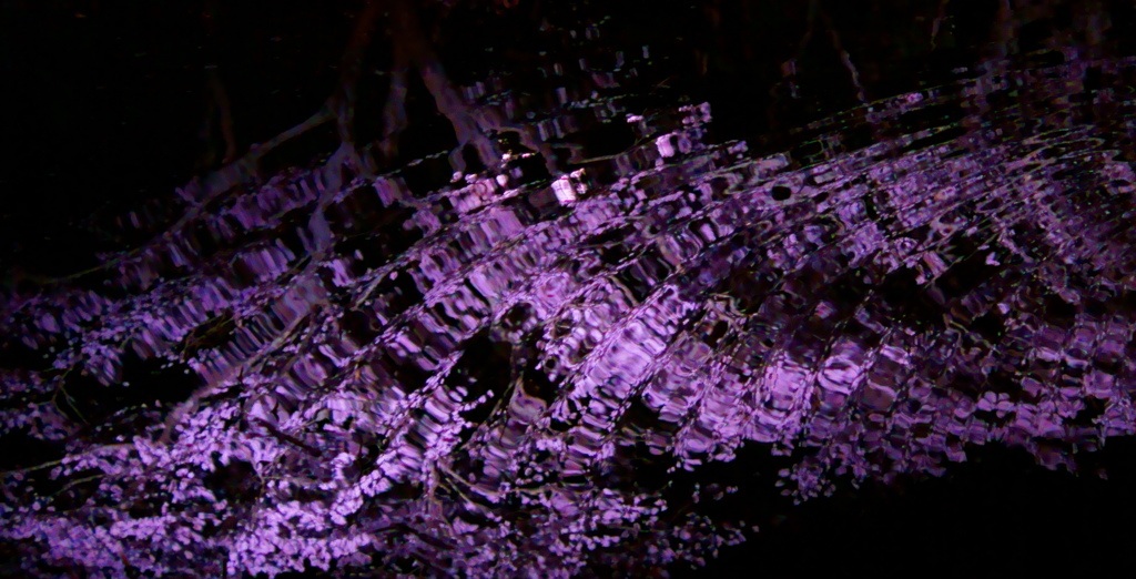 桜波紋