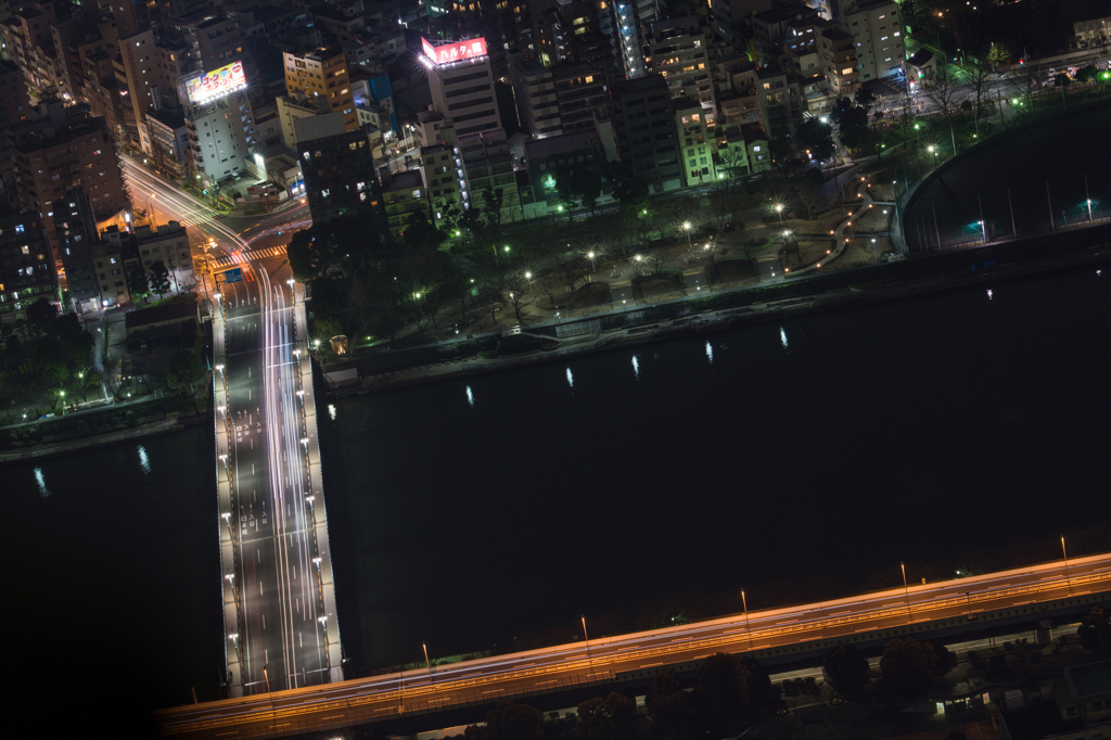 TOKYO NIGHT#3 Light Line