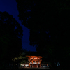 糺ノ森のなかの下鴨神社