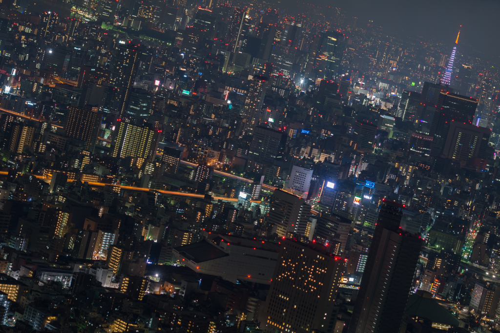 TOKYO NIGHT#2 Tokyo Tower