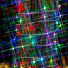 Christmas Color