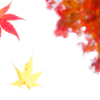 the fall falling