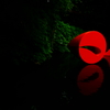 SOMETHING RED