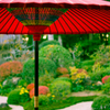 和傘と日本庭園