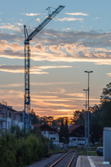 a standing crane