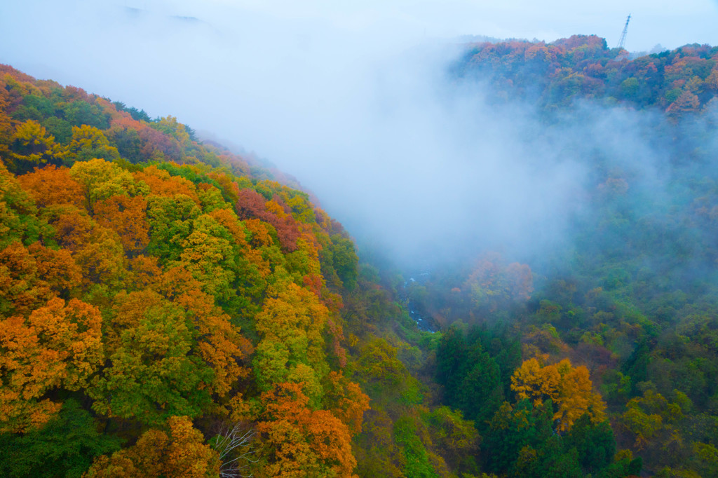 rainy autumn