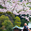 はじめての花見