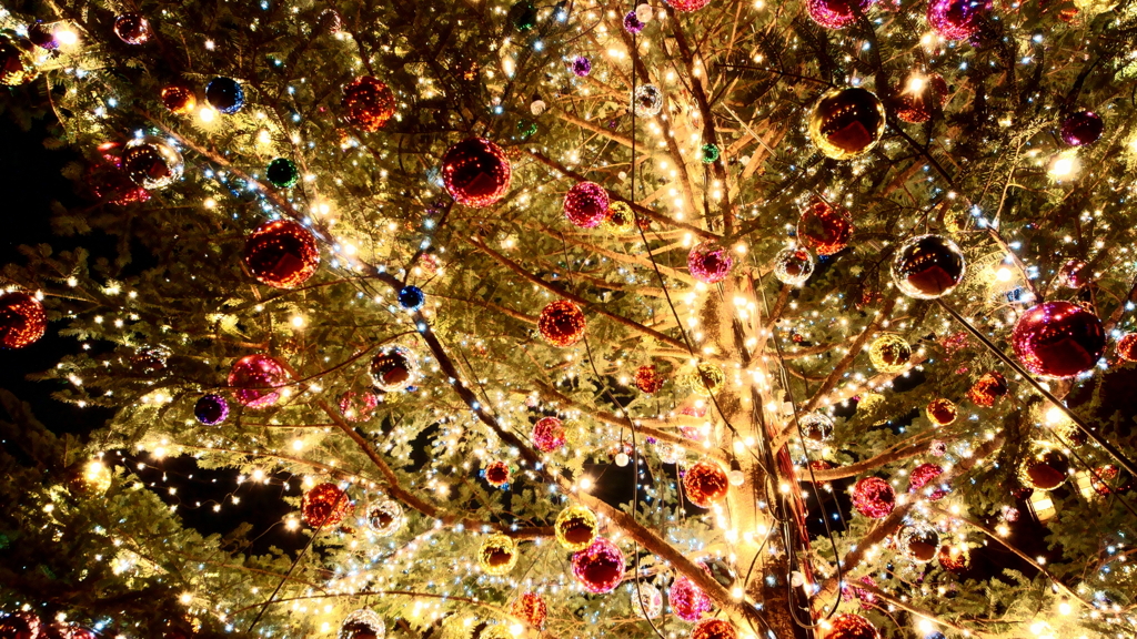 クリスマスツリー