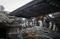 サンシャイン水族館