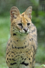 多摩動物公園