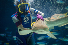 サンシャイン水族館