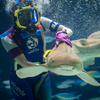 サンシャイン水族館