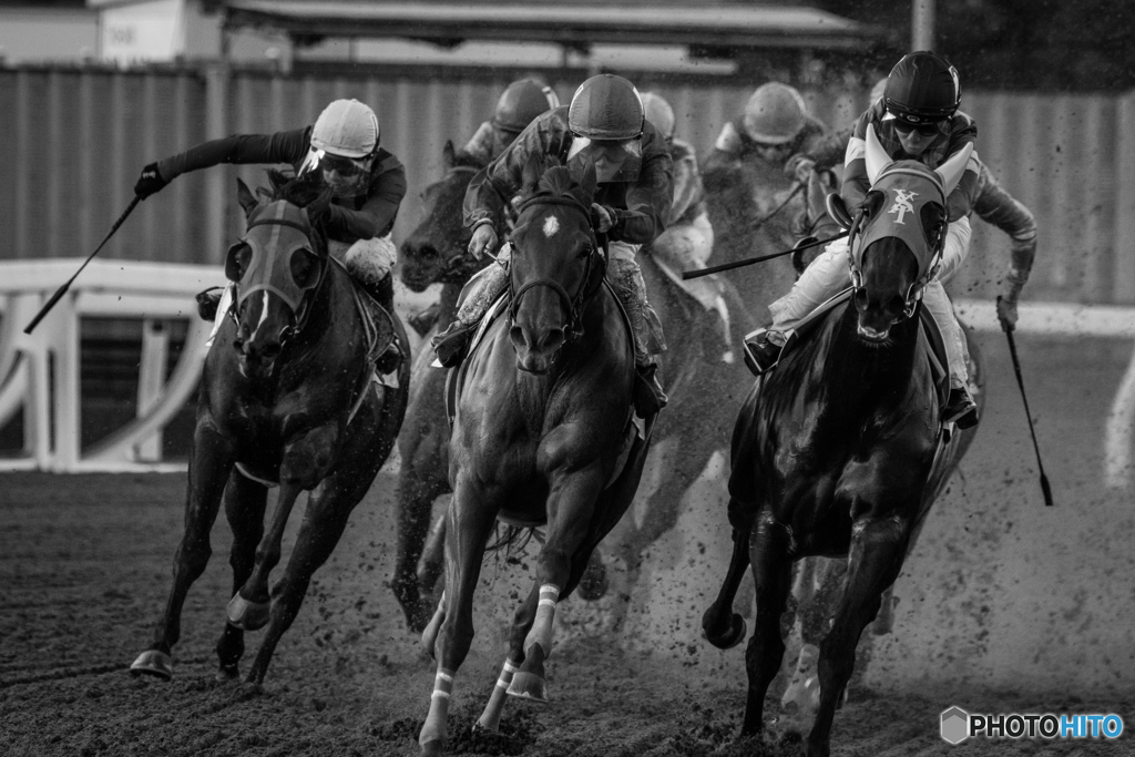 20161122浦和競馬