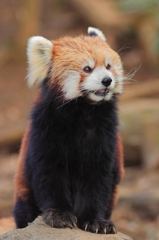 多摩動物公園