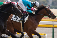 東京競馬場