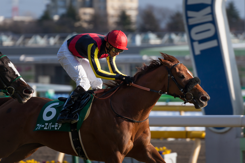 20140218東京競馬場