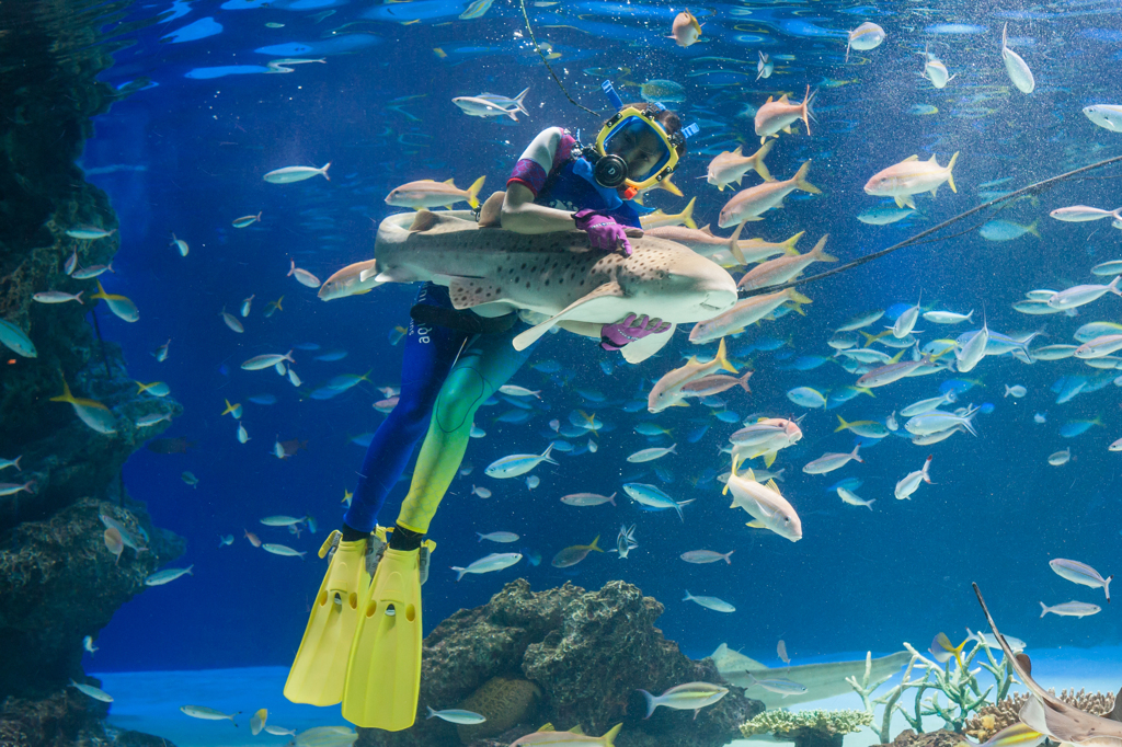 サンシャイン水族館