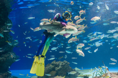 サンシャイン水族館