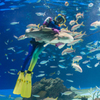 サンシャイン水族館