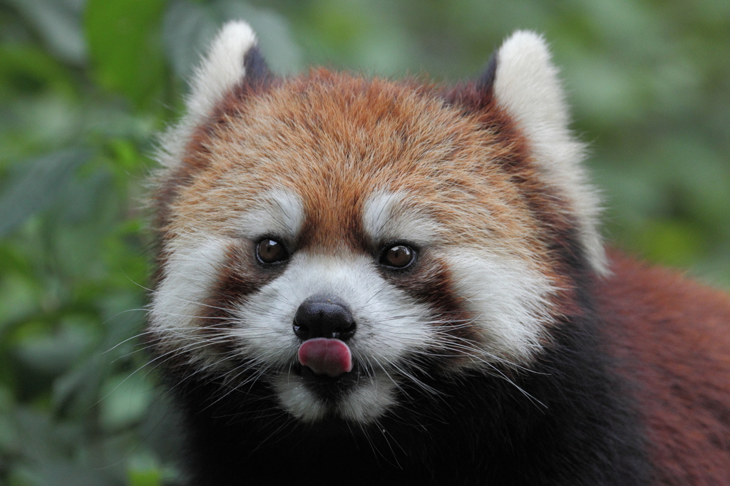 多摩動物公園