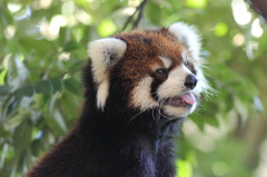 上野動物園
