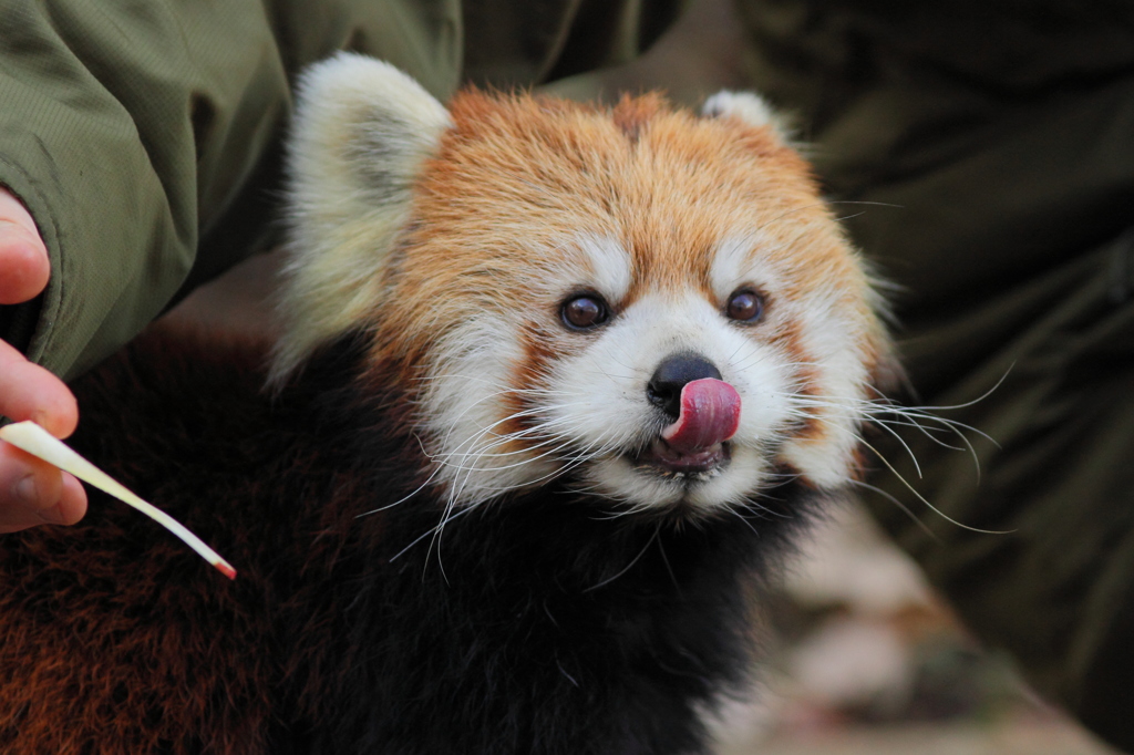 多摩動物公園