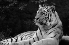 多摩動物公園