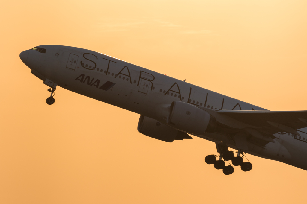 haneda