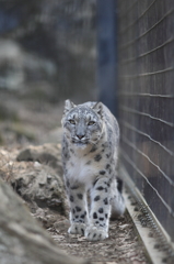 多摩動物公園