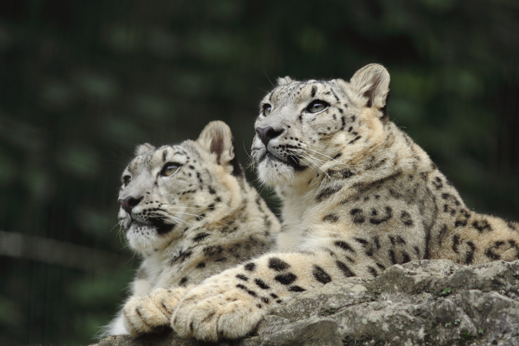 多摩動物公園
