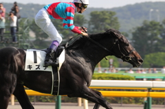 2013 日本ダービー