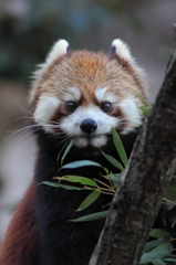 多摩動物公園