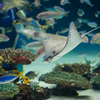 サンシャイン水族館