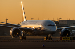 haneda