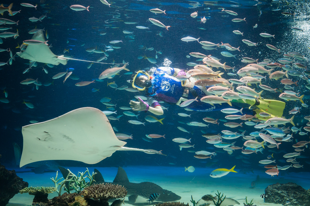 サンシャイン水族館