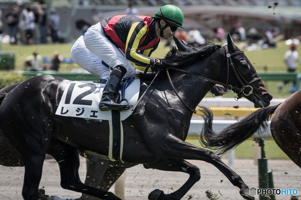 tokyo race course