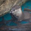 サンシャイン水族館