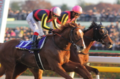 2012ジャパンカップ