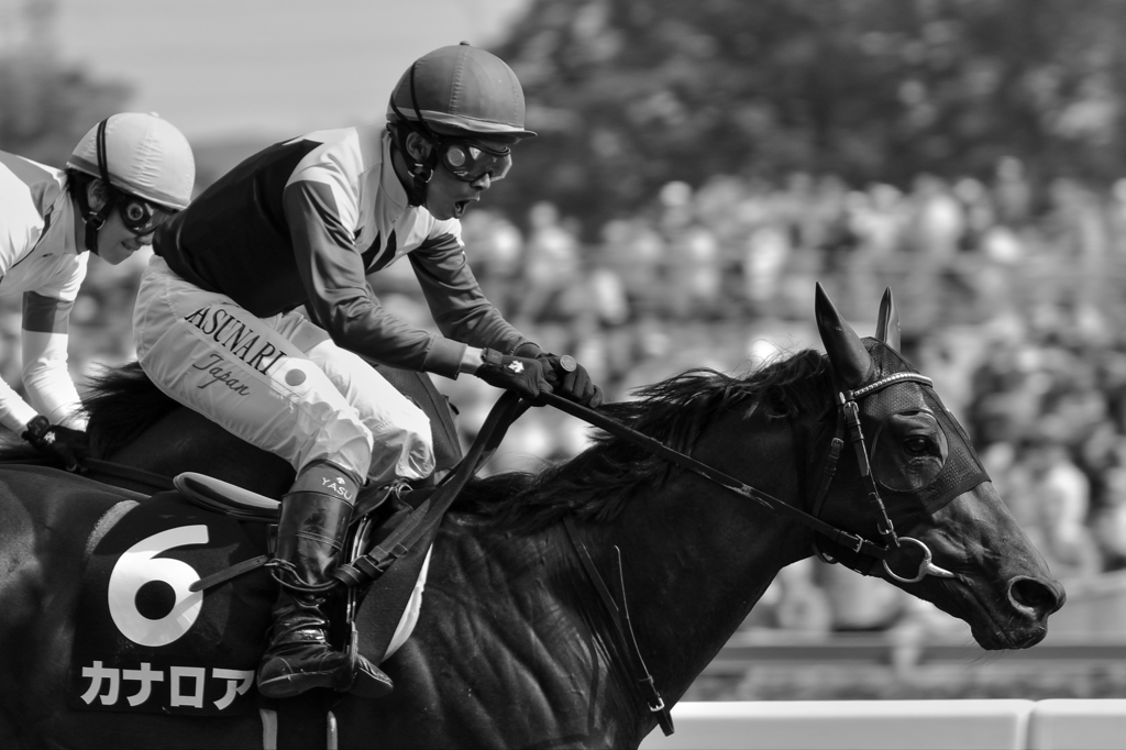東京競馬場