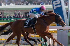 東京競馬場