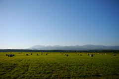 THE北海道