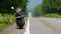 糠平