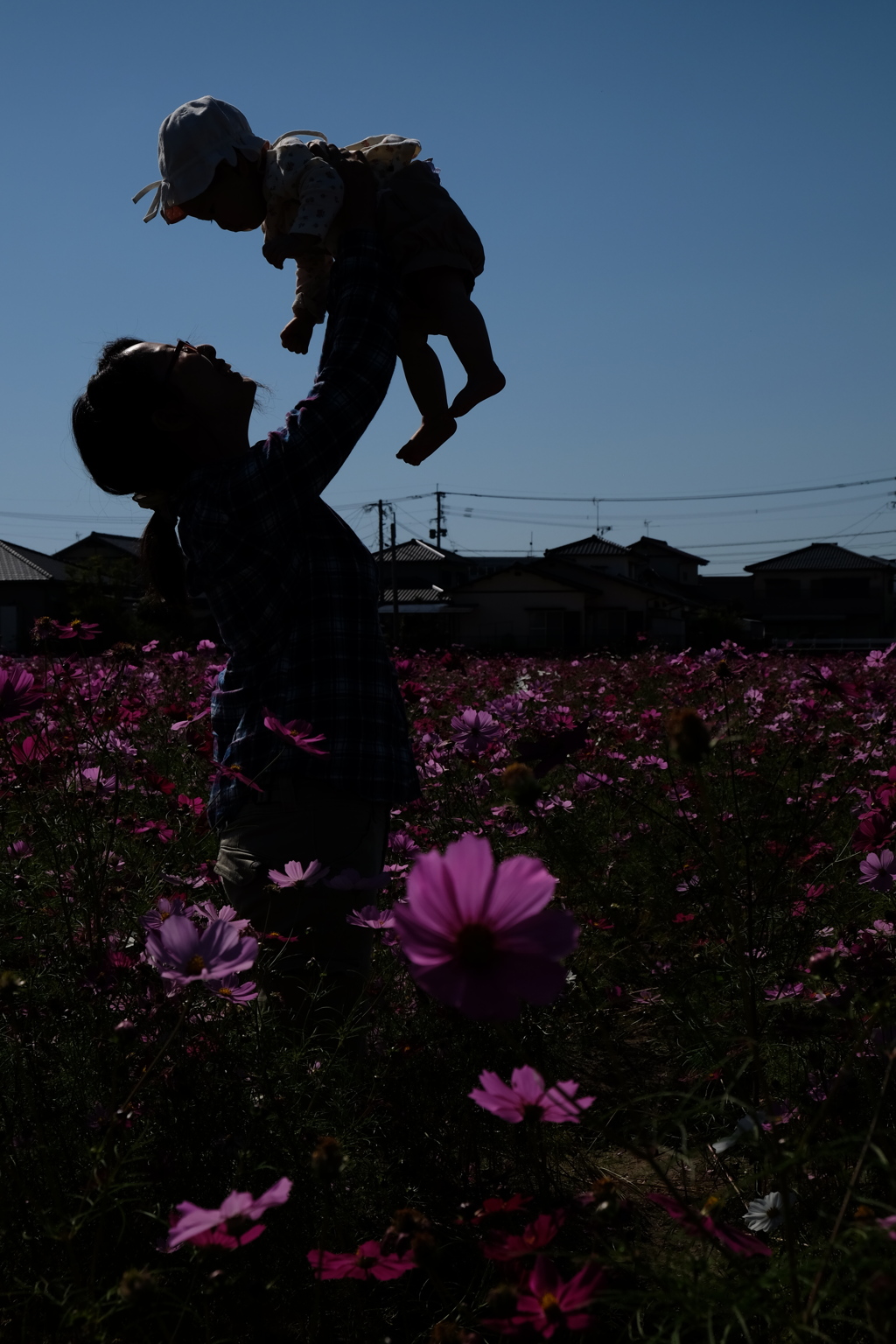 高い高い