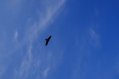 DSCF2904