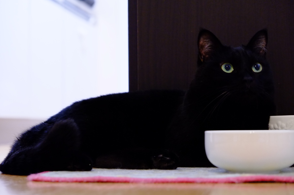久々みくり